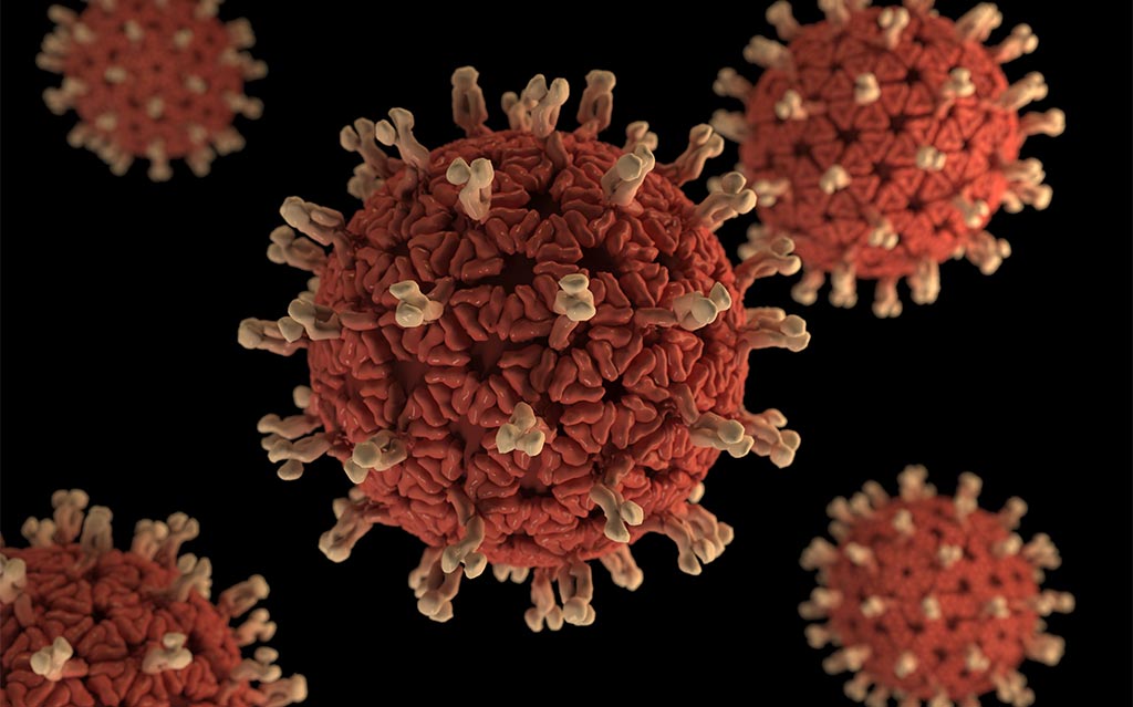 microscopic view of the Novel Coronavirus